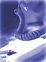 Contact